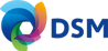 DSM Delft B.V.